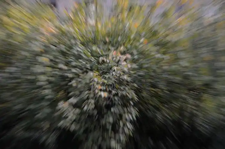 变焦法拍摄尝试