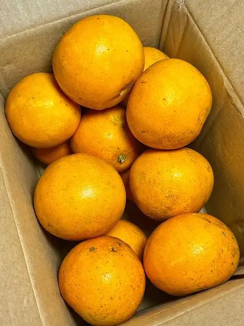 这橙子惊艳到了!很新鲜!也没坏啥坏果!比一般的个头还大!