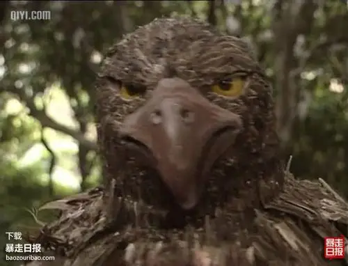 投票古天乐李若彤20年银幕重逢过儿长出麒麟臂