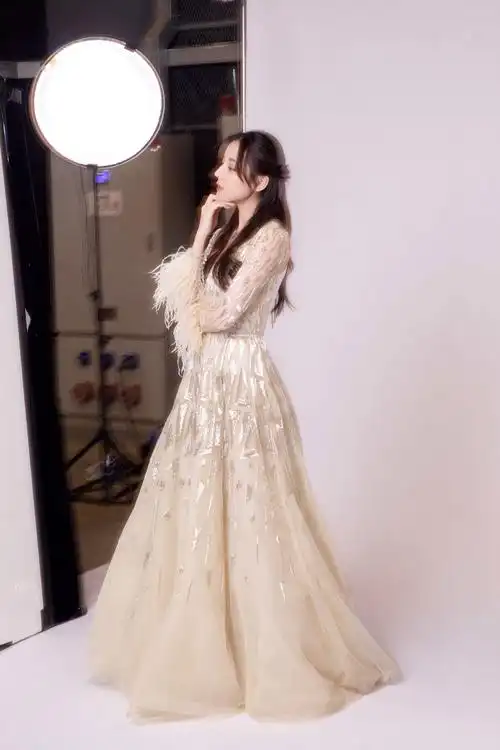 大家有存的让你觉得惊艳的女明星礼服图吗