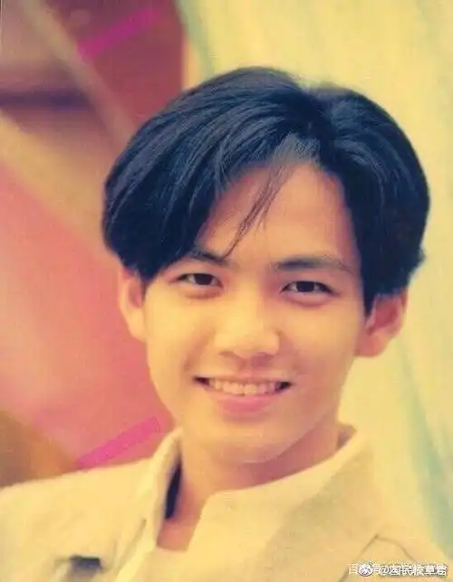 盘点90年代经典男偶像!逆天颜值,盛世美颜,哪一款是你的菜?