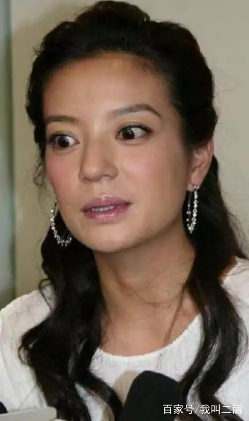 转型成功的小燕子(赵薇)