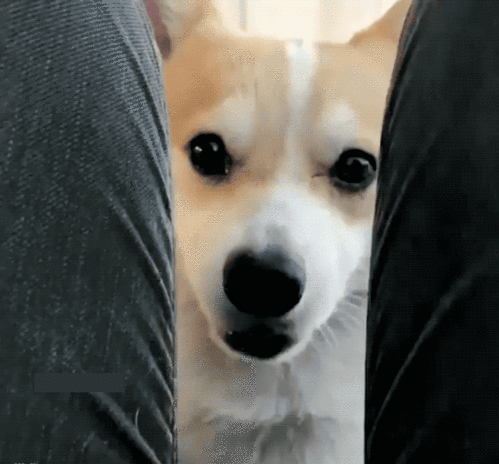 妹子的发际线就是那么与众不同,看完后真的让人好难接受