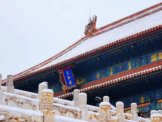 初雪太和殿