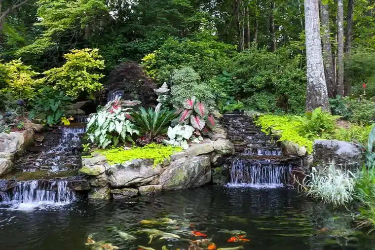 庭院水景设计:听着流水的声音放松身心