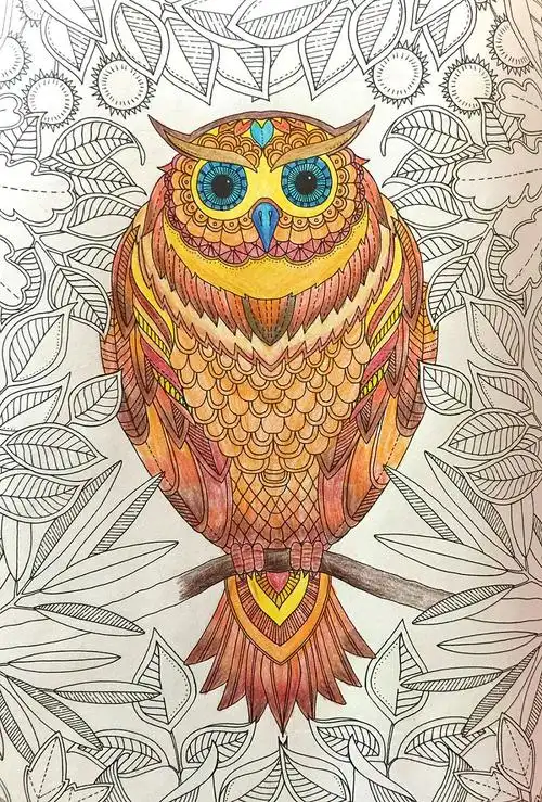 秘密花园填色系列