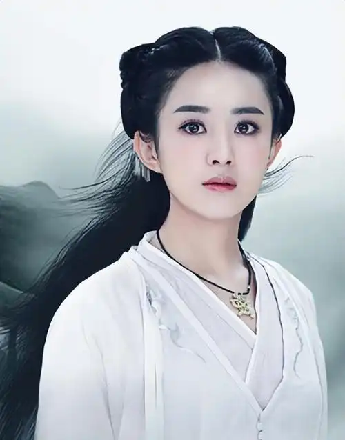 长大之后,她只身一人到长留寻找白子画.