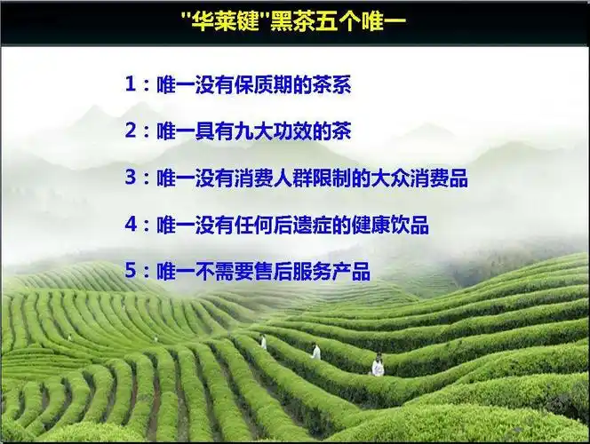 湖南华莱黑茶奖金模式讲解