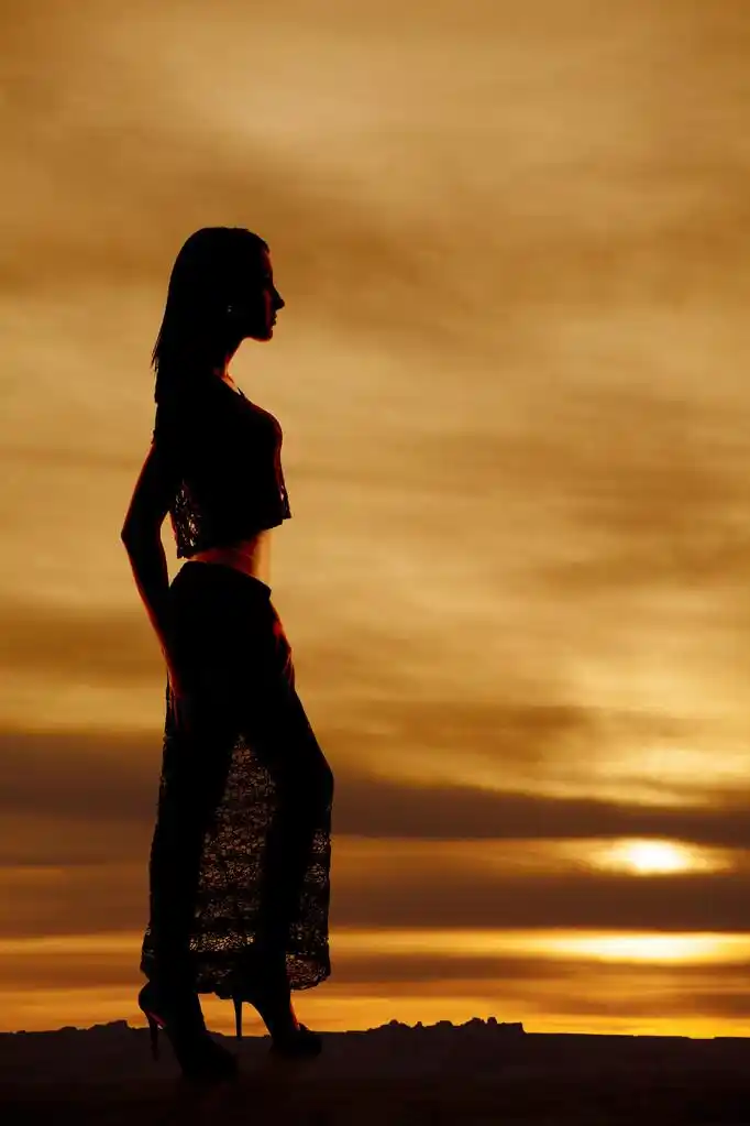 剪影女人花边裙子,一个侧面一个女人在她看着一边的花边裙子