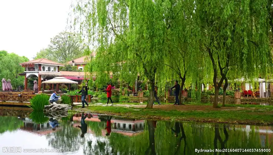 桔子洲公园水景图片