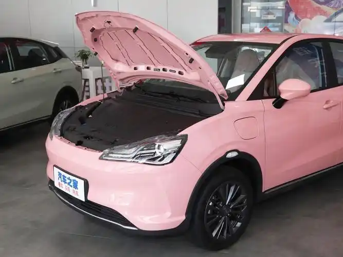 合众汽车 哪吒v 2022款 潮 400 lite 粉色定制款