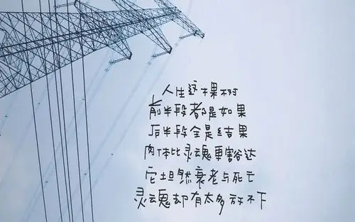 个性文字简约电脑桌面壁纸图片