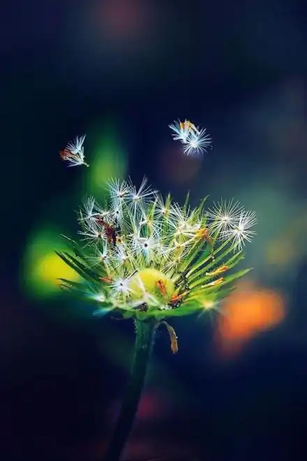 治愈系图片 | 随遇而安,随缘一份幸福