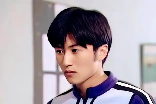 是因为她那婉转动人的歌声和清丽脱俗的气质,这些都让年轻的谢霆锋