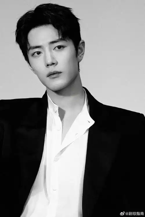 肖战黑白反差感