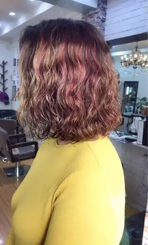 2018狗年流行"泰迪卷