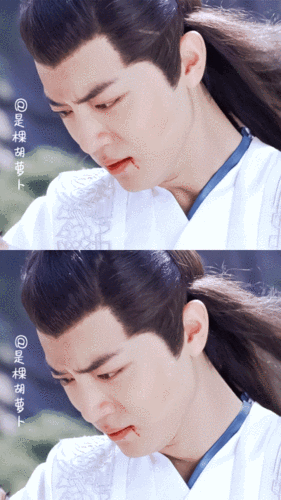 肖战× 庆余年 cr:是棵胡萝卜