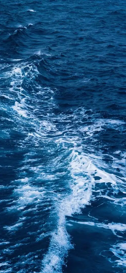 壁纸 桌面 690_1495 竖版 竖屏 手机