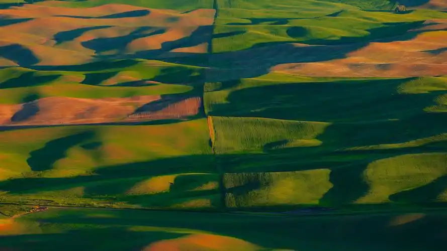 壁纸 美国,帕卢斯,绿油油的麦田,丘陵,阳光,阴影