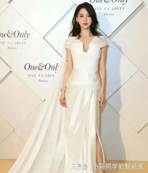 礼服|杨幂|女明星|杨颖(十六国)_网易订阅