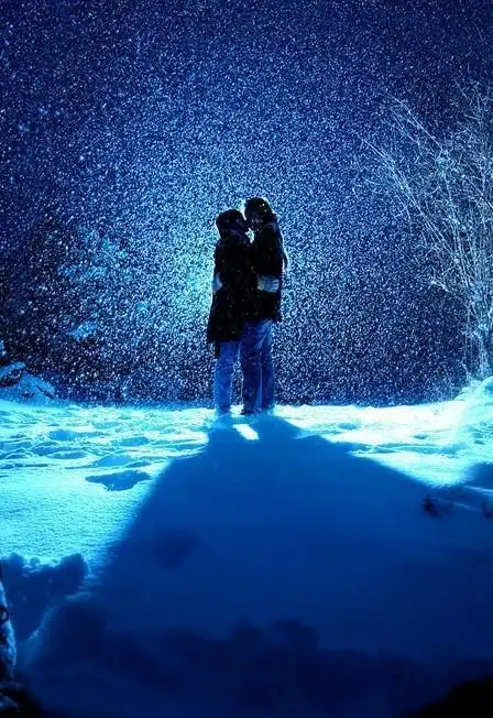 冬天的北京     雪花漫天飞     家园小区里     安静的路灯下