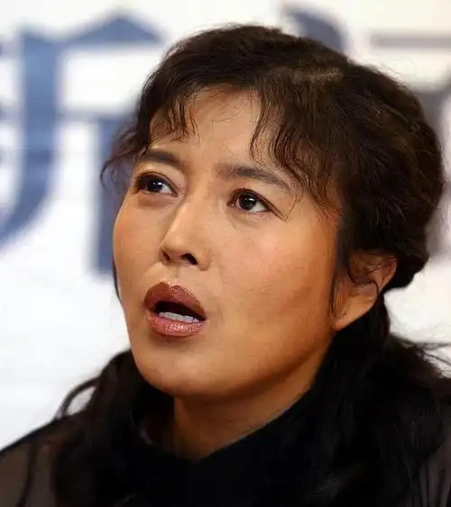 演员丁嘉丽两段婚姻伤人伤己对不起一双儿女今潜心向佛