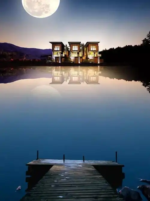 550_733竖版 竖屏