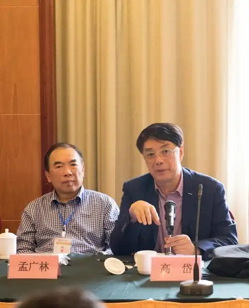 北京大学高岱教授