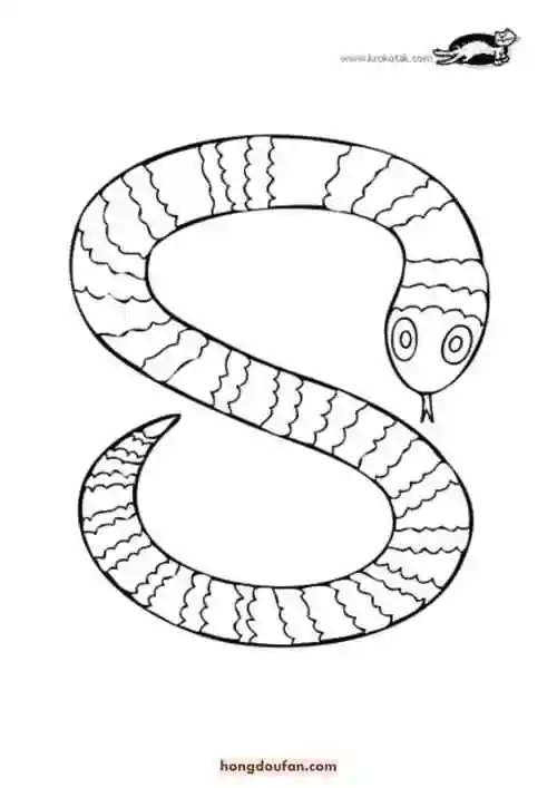 5张花蛇蟒蛇卡通儿童简笔画蛇的涂色图片