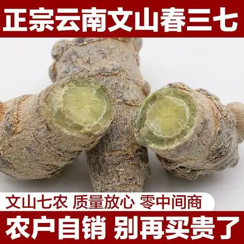 云南文山春三七特级20头30头40头田七粉新鲜正品中药材煲汤非野生