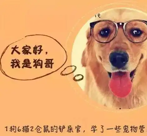 你几百块买的狗可能来自地狱,那纯种狗值多少钱?怎么分辨真假?