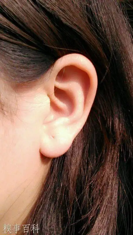 我妈老说我耳朵长得特别好看
