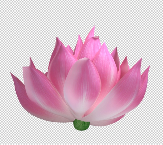 唯美旋转莲花_2000x2000_高清视频素材下载(编号:3614458)_影视包装