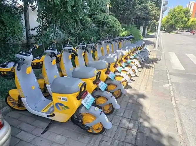 惠民杨凌首批共享电动车投入使用