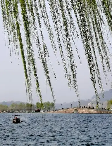 杭州西湖断桥春光