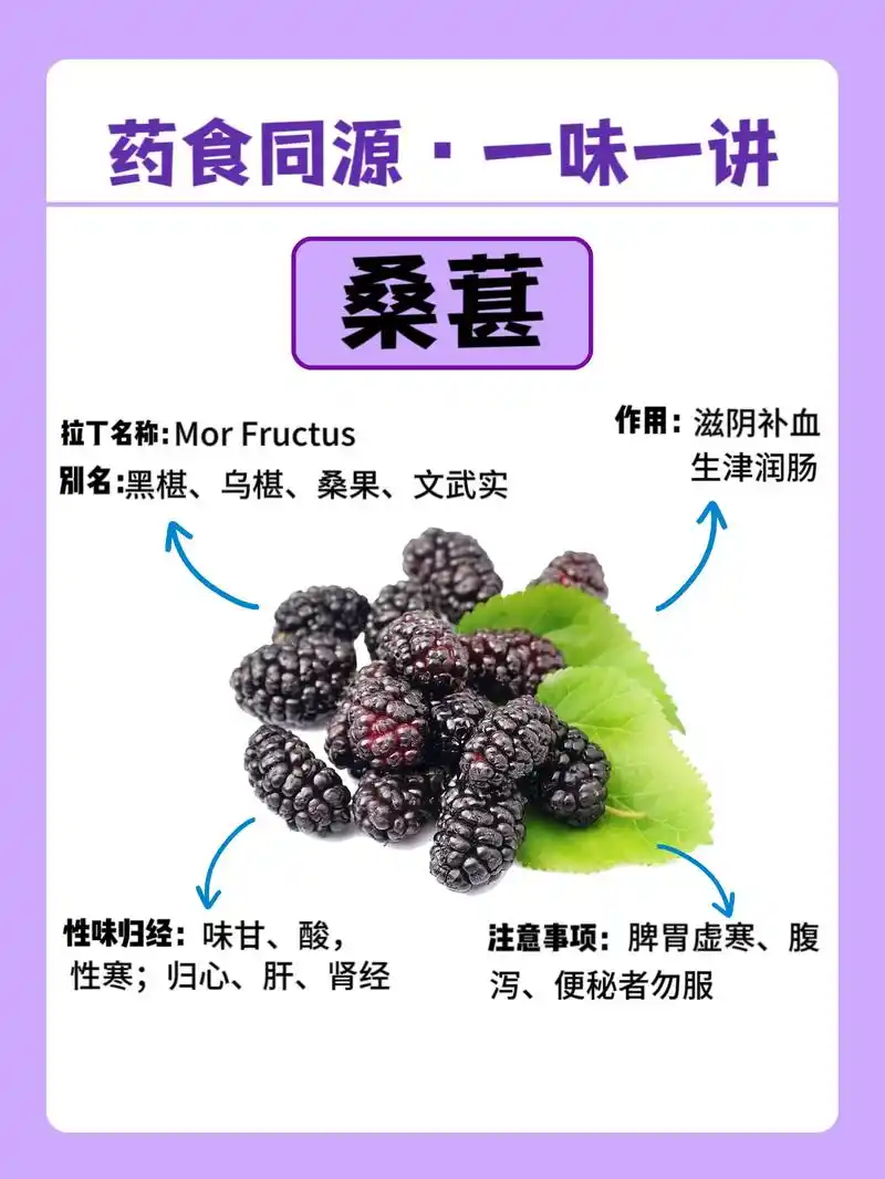 认识桑葚:一颗小果实的大世界 .桑葚的植物种属:桑葚属于桑科 - 抖音