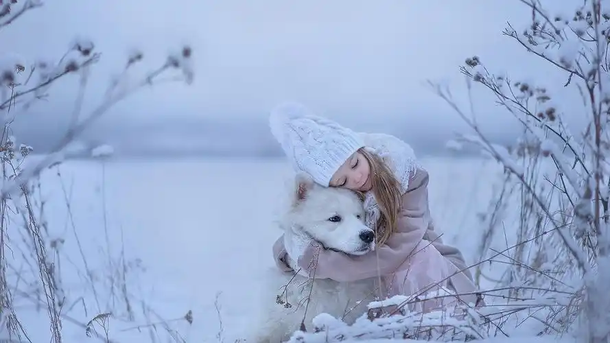 平静如水 淡定文雅