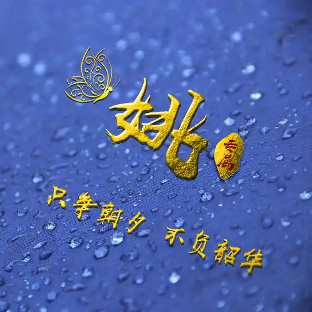 编号b02932张百家姓微信头像励志专属只争朝夕不负韶华