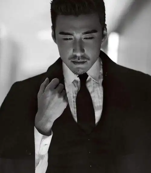 要多硬朗有多硬朗,还带各种风格,将成熟男性的魅力发挥到极致.