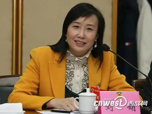 刘娟的控股企业