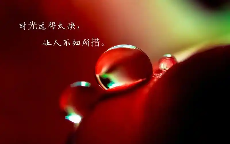 文字图片,唯美意境,时光,流逝,文字,雨滴,唯美,2k,电脑壁纸,壁纸时光