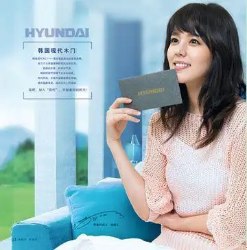 韩国现代木门品牌代言人:韩佳人