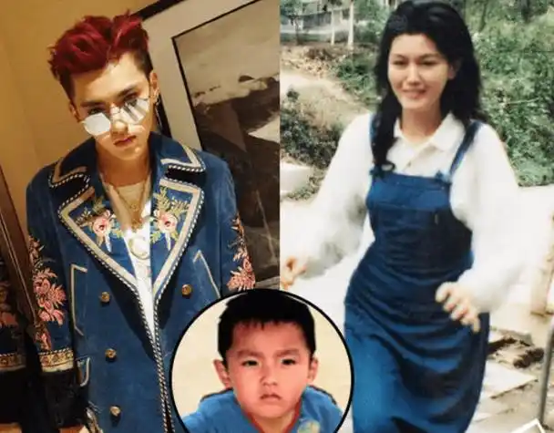 吴亦凡妈妈发文!