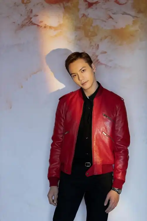 陈伟霆红色皮衣帅气写真,陈伟霆图片-第2图