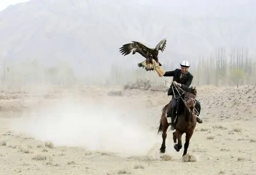 彪悍的柯尔克孜族驯鹰人_猎鹰