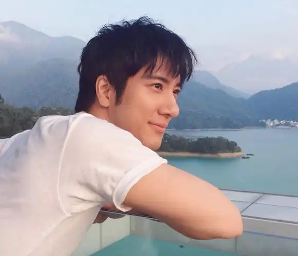 王力宏的电影 王力宏演过的抗日电影-百联百科