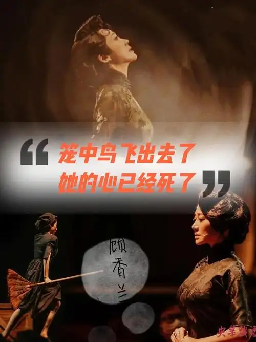 《如梦之梦》丨美到落泪,笼中鸟的心碎与自由