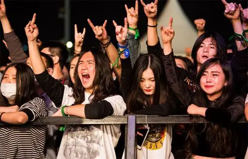 深圳迷笛音乐节点亮龙岗 音乐大咖陪乐迷跨年_龙岗新闻网