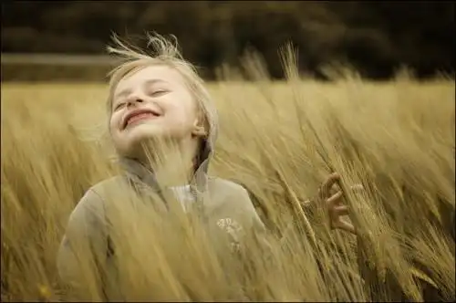 什么是幸福幸福又是从哪里来的呢