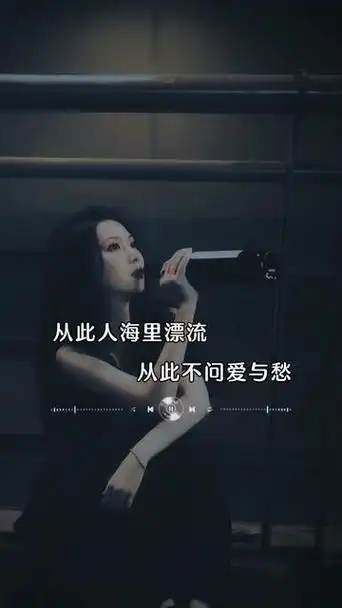 从此人海里漂流,从此不问爱与愁,从此不再为谁把心伤透,也许会孤独